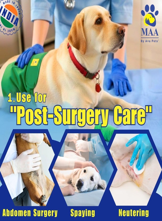 A+a Pets حفاضات قطنية للكلاب من A+a Pets' MAA' - قابلة للتمدد، مريحة، قابلة للغسل وإعادة الاستخدام (مقاس XL، لون كحلي) - Image 5